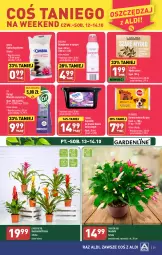 Gazetka promocyjna Aldi - Pełna oferta - Gazetka - ważna od 14.10 do 14.10.2023 - strona 29 - produkty: Sok, Cif, Dezodorant, Mleczko, Mydło, Kapsułki do prania, Pedigree