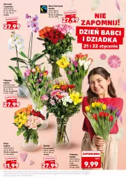 Gazetka promocyjna Kaufland - Kaufland - Gazetka - ważna od 21.01 do 21.01.2026 - strona 15 - produkty: Tulipan, Storczyk, Bukiet, LG, Fa