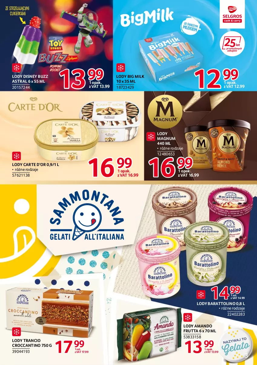 Gazetka promocyjna Selgros - Katalog Markowe Produkty - ważna 22.04 do 31.12.2022 - strona 3 - produkty: Big Milk, Disney, Lody, Tran