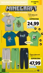 Gazetka promocyjna Lidl - GAZETKA - Gazetka - ważna od 19.08 do 19.08.2023 - strona 29 - produkty: Minecraft, T-shirt