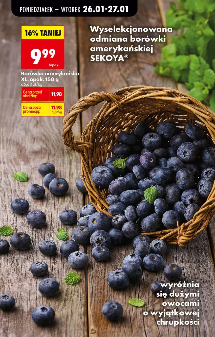 Gazetka promocyjna Biedronka - Gazetka - ważna 26.01 do 02.02.2026 - strona 19