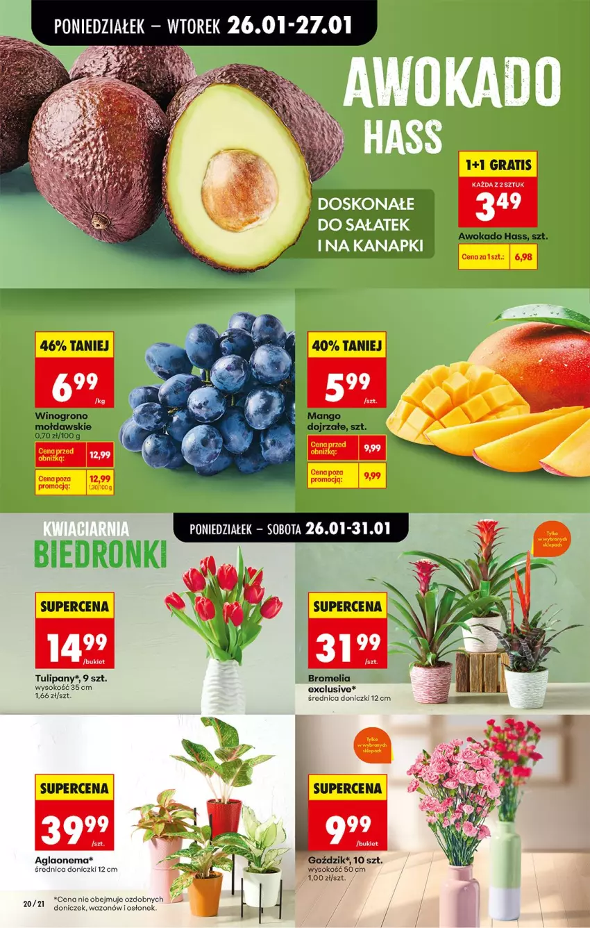 Gazetka promocyjna Biedronka - Gazetka - ważna 26.01 do 02.02.2026 - strona 22 - produkty: Bromelia, Gra, Mango, Sok, Tulipan, Wazon, Wino