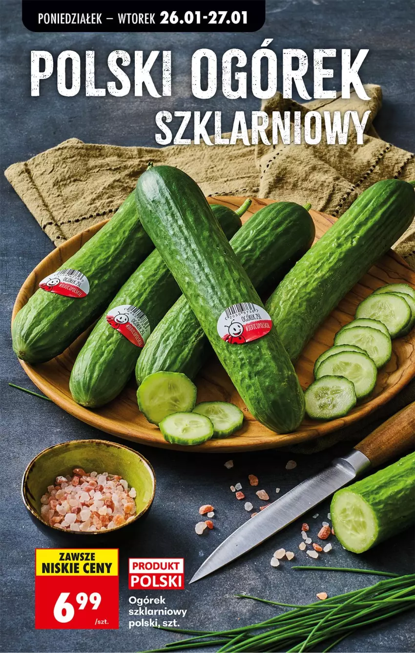 Gazetka promocyjna Biedronka - Gazetka - ważna 26.01 do 02.02.2026 - strona 24