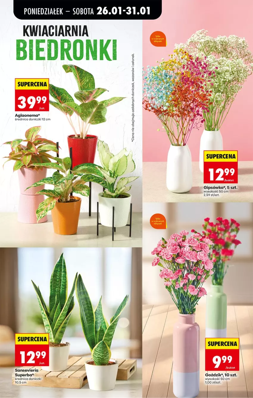 Gazetka promocyjna Biedronka - Gazetka - ważna 26.01 do 02.02.2026 - strona 25 - produkty: Sok, Wazon