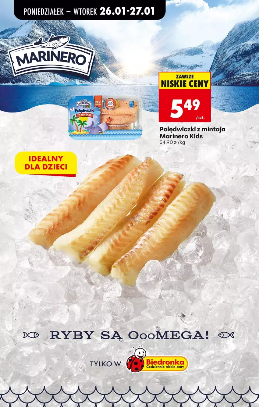 Gazetka promocyjna Biedronka - Gazetka - ważna 26.01 do 02.02.2026 - strona 73 - produkty: Mintaj