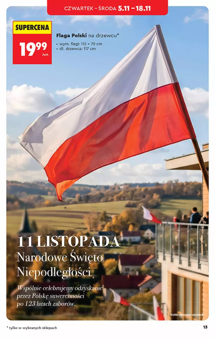 Gazetka promocyjna Biedronka - Okazje Tygodnia - ważna 31.10 do 14.11.2026 - strona 13