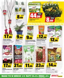 Gazetka promocyjna Bricomarche - Gazetka - Gazetka - ważna od 24.03 do 24.03.2024 - strona 13 - produkty: Gra, Róża, Morela, Nawóz, Ogród