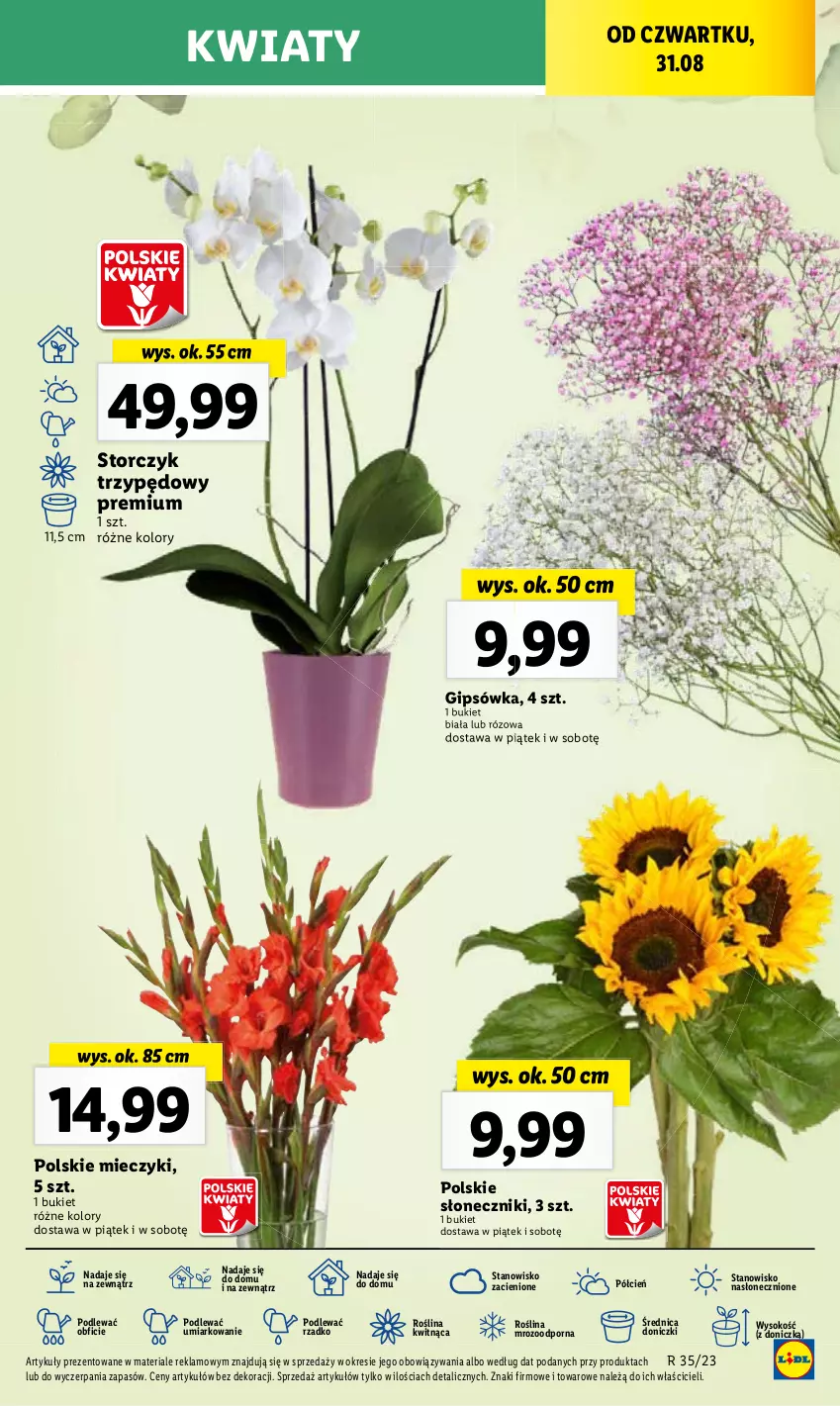 Gazetka promocyjna Lidl - GAZETKA - ważna 31.08 do 02.09.2023 - strona 67 - produkty: Cień, O nas, Por, Sok