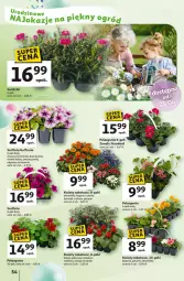 Gazetka promocyjna Auchan - Te URODZINY są NAJ Hipermarket - Gazetka - ważna od 29.04 do 29.04.2025 - strona 58 - produkty: Por, Koc, Surf, Aksam