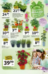 Gazetka promocyjna Auchan - Te URODZINY są NAJ Hipermarket - Gazetka - ważna od 29.04 do 29.04.2025 - strona 59 - produkty: Ser, Por, Truskawki, Deser, Wino, Gres