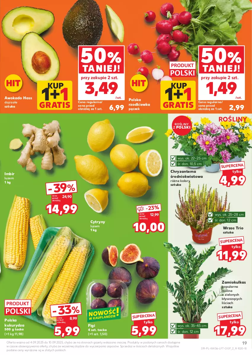 Gazetka promocyjna Kaufland - Gazetka tygodnia - ważna 04.09 do 10.09.2025 - strona 19 - produkty: Chryzantema, Cytryny, Figi, Gra, Imbir, Kukurydza, Rzodkiewka