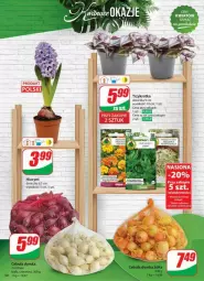 Gazetka promocyjna Dino - Gazetka - ważna od 28.01 do 28.01.2025 - strona 46 - produkty: Sok, Hiacynt, Aksam, Fa