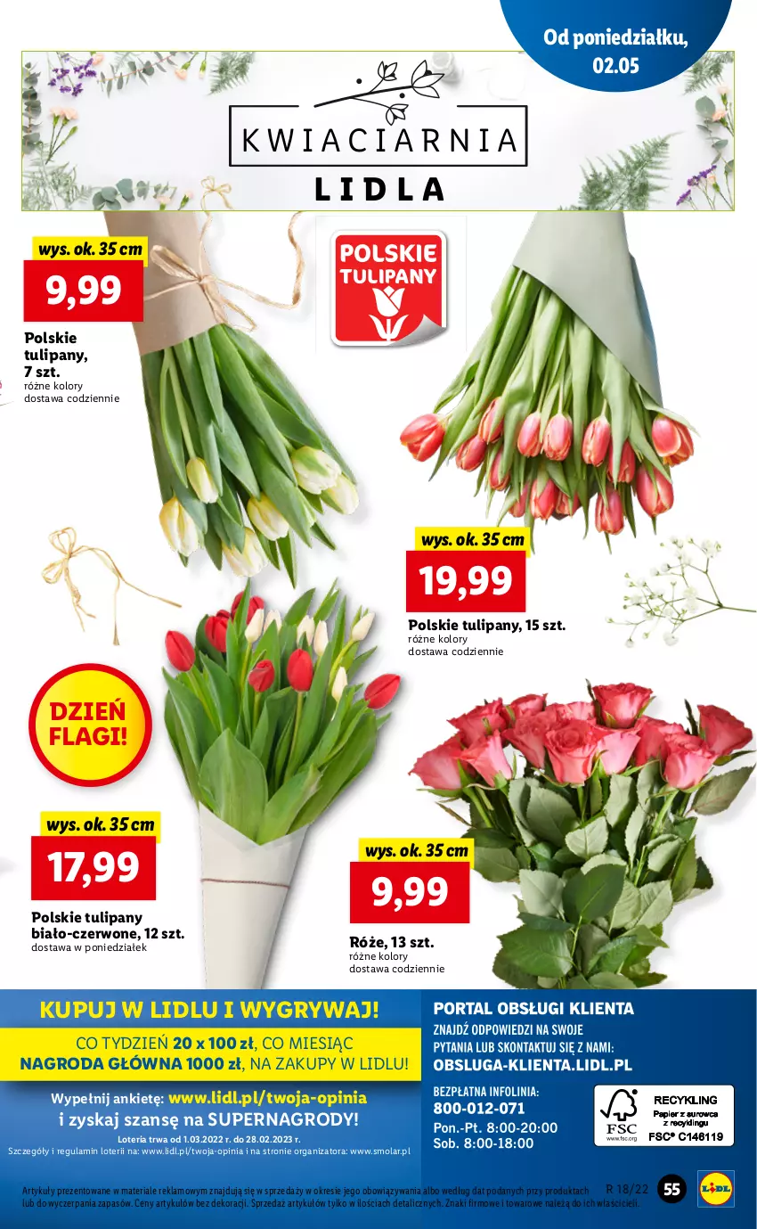 Gazetka promocyjna Lidl - GAZETKA - ważna 02.05 do 05.05.2022 - strona 55 - produkty: Gry, Mola, Tulipan