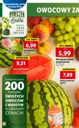 Gazetka promocyjna Lidl - GAZETKA - Gazetka - ważna od 05.05 do 05.05.2022 - strona 6 - produkty: Arbuz, Wino