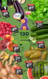 Gazetka promocyjna Netto - Gazetka spożywcza - Gazetka - ważna od 25.04 do 25.04.2021 - strona 6 - produkty: Jonagold, Warzywa, Sałata masłowa, Ogórek, Warzywa i owoce, Kosz, Szampion, Sałat, Owoce, Arbuz, Masło, Imbir