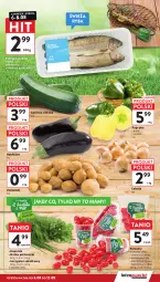 Gazetka promocyjna Intermarche - Gazetka promocyjna - Gazetka - ważna od 12.08 do 12.08.2026 - strona 13 - produkty: Cebula, Pstrąg tęczowy, Ryba, Papryka, Sałat, Pstrąg, Natka pietruszki