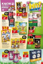 Gazetka promocyjna Twoj Market - Gazetka - ważna od 01.04 do 01.04.2025 - strona 31 - produkty: Por, Rama, Friskies, Pedigree, Przysmak dla psa, LG