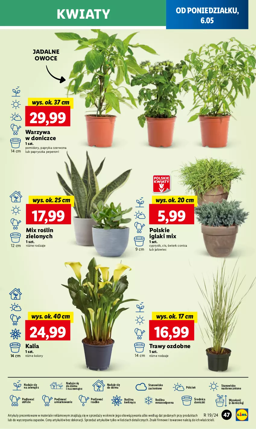 Gazetka promocyjna Lidl - GAZETKA - ważna 06.05 do 08.05.2024 - strona 57 - produkty: Cień, Cyprysik, O nas, Owoce, Papryka, Papryka czerwona, Pomidory, Por, Sok, Warzywa