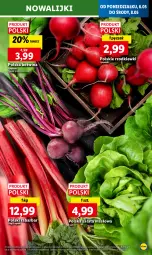 Gazetka promocyjna Lidl - GAZETKA - Gazetka - ważna od 08.05 do 08.05.2024 - strona 19 - produkty: Sałata masłowa, Sałat, Masło