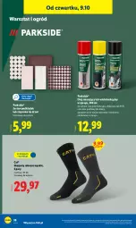 Gazetka promocyjna Lidl - GAZETKA - Gazetka - ważna od 11.10 do 11.10.2025 - strona 42 - produkty: Parkside, Top, Gra, Karp, Regał, Drzwi, Olej, Ogród, Podkład