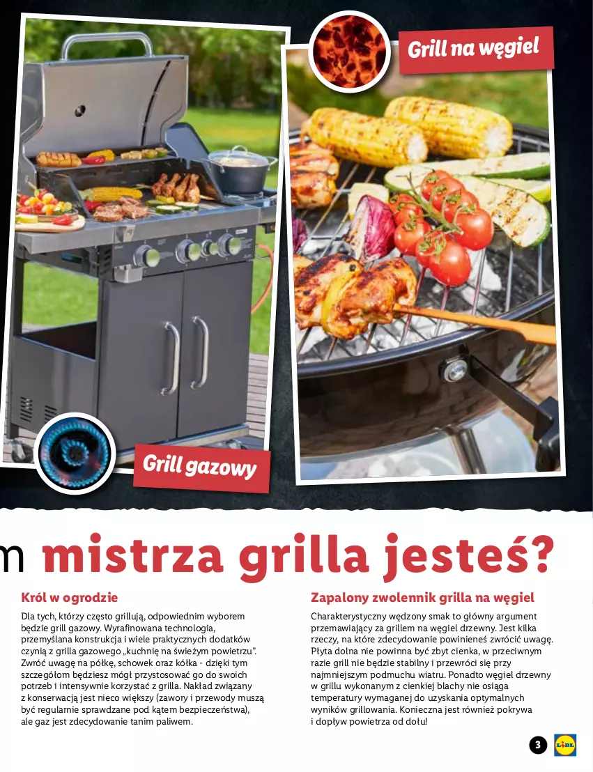 Gazetka promocyjna Lidl - OFERTA OD 22.04 DO WYCZERPANIA ZAPASÓW - ważna 22.04 do 02.05.2021 - strona 3 - produkty: Grill, Grill gazowy, LANA, Mus, Piec, Płyta, Pokrywa, Ser, Węgiel drzewny