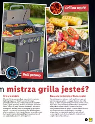 Gazetka promocyjna Lidl - OFERTA OD 22.04 DO WYCZERPANIA ZAPASÓW - Gazetka - ważna od 02.05 do 02.05.2021 - strona 3 - produkty: Piec, Ser, Mus, Węgiel drzewny, LANA, Płyta, Grill, Grill gazowy, Pokrywa