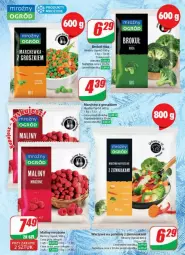 Gazetka promocyjna Dino - Gazetka - ważna od 03.09 do 03.09.2024 - strona 18 - produkty: Warzywa, Róża, Taft, Maliny, Ogród