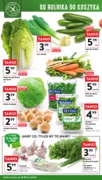Gazetka promocyjna Intermarche - Gazetka - ważna od 24.07 do 24.07.2024 - strona 8 - produkty: Cebula, Por, Roszponka, Sałata lodowa, Ogórek, Czosnek, Rukola, Siatka, Sałat, Natka pietruszki, Szpinak