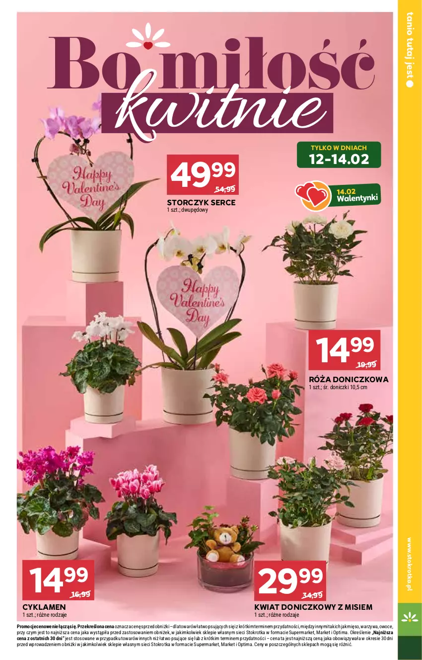 Gazetka promocyjna Stokrotka - Supermarket - ważna 12.02 do 18.02.2026 - strona 9 - produkty: Cyklamen, Mięso, Optima, Owoce, Róża, Ser, Storczyk, Warzywa