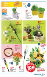 Gazetka promocyjna E Leclerc - Gazetka - ważna od 08.04 do 08.04.2023 - strona 19 - produkty: Piec, Por, Rzeżucha, Bukiet, Narcyz, Flora