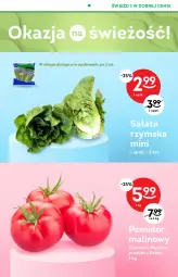 Gazetka promocyjna Żabka - Gazetka - ważna od 31.10 do 31.10.2021 - strona 41 - produkty: Sałat, Pomidor malinowy