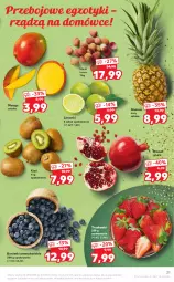 Gazetka promocyjna Kaufland - OFERTA TYGODNIA - Gazetka - ważna od 04.01 do 04.01.2022 - strona 21 - produkty: Gra, Granat, Truskawki, Ananas, Kiwi, Mango, Liczi