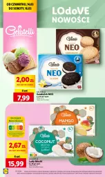 Gazetka promocyjna Lidl - GAZETKA - Gazetka - ważna od 16.03 do 16.03.2024 - strona 44 - produkty: Wazon, Dove, Lody, Mango, Kokos