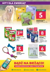 Gazetka promocyjna Dealz - Gazetka na otwarcie - Chorzów - Gazetka - ważna od 08.12 do 08.12.2021 - strona 8 - produkty: Kurczak, Ryż, Gra, Zabawka, KiteKat, Przysmaki, Wołowina, Podkład
