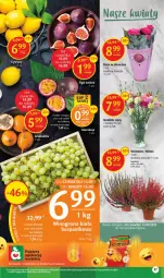Gazetka promocyjna Delikatesy Centrum - Gazetka DC36 - Gazetka - ważna od 20.09 do 20.09.2023 - strona 17 - produkty: Róża, Winogrona, Wino