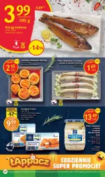 Gazetka promocyjna Delikatesy Centrum - Gazetka DC36 - Gazetka - ważna od 20.09 do 20.09.2023 - strona 20 - produkty: Frosta, Rum, Stek, SEKO, Paluszki rybne, Koreczki śledziowe, Olej