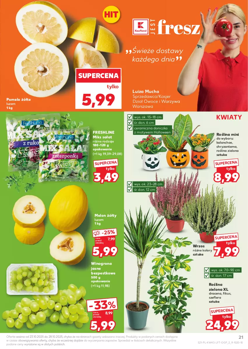 Gazetka promocyjna Kaufland - Gazetka tygodnia - ważna 23.10 do 28.10.2025 - strona 21 - produkty: Chryzantema, Kalanchoe, Melon, Owoce, Pomelo, Sałat, Warzywa, Wino, Winogrona