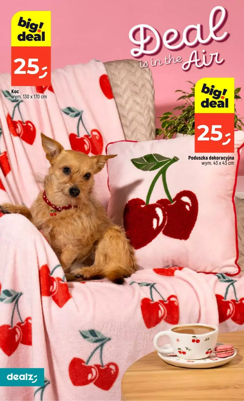 Gazetka promocyjna Dealz - NOWA GAZETKA - ważna 29.01 do 04.02.2026 - strona 20 - produkty: Poduszka, Poduszka dekoracyjna