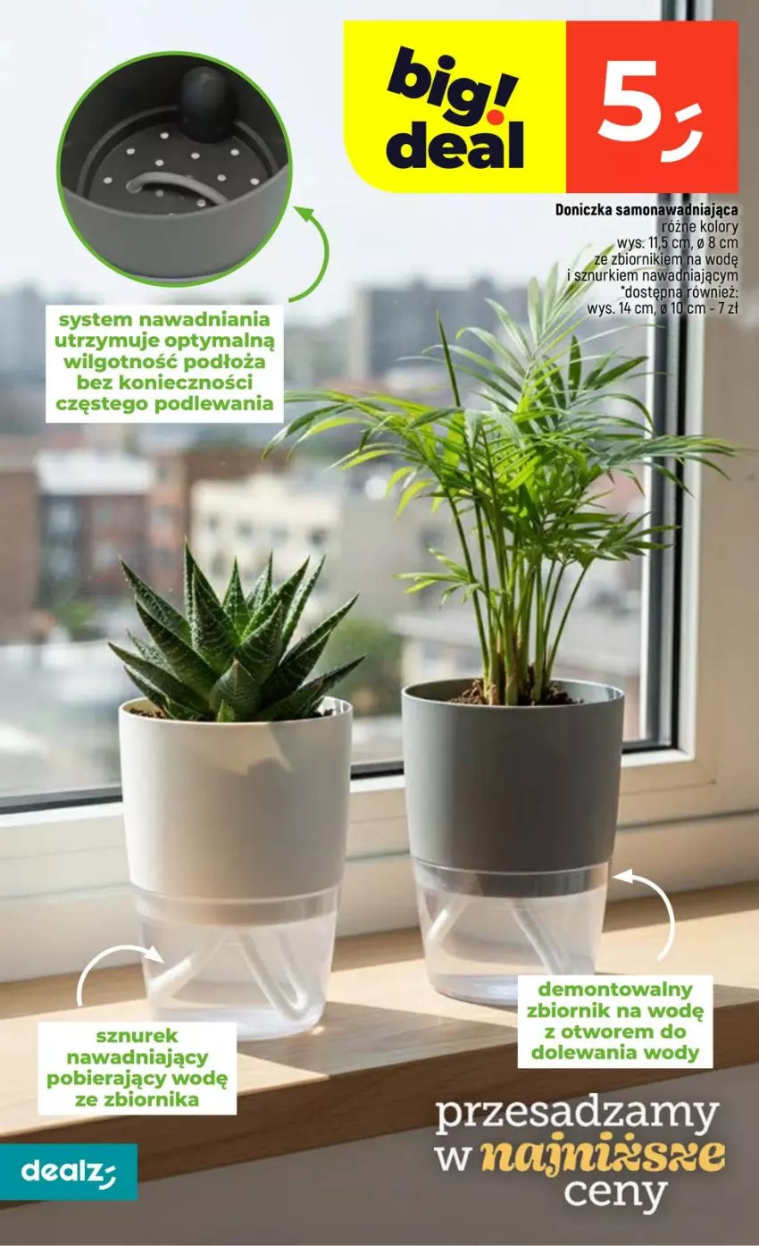 Gazetka promocyjna Dealz - NOWA GAZETKA - ważna 29.01 do 04.02.2026 - strona 36 - produkty: LG, Sznurek