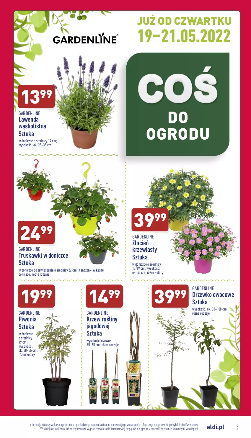 Gazetka promocyjna Aldi - Zaplanuj zakupy wcześniej - ważna 18.05 do 21.05.2022 - strona 2 - produkty: Cień, Piwo, Sok, Truskawki