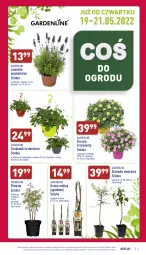 Gazetka promocyjna Aldi - Zaplanuj zakupy wcześniej - Gazetka - ważna od 21.05 do 21.05.2022 - strona 2 - produkty: Piwo, Sok, Truskawki, Cień