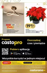 Gazetka promocyjna Castorama - Gazetka - ważna od 26.12 do 26.12.2024 - strona 8 - produkty: Top, Poinsecja, Lampa sufitowa, Astor, Lampa, LG
