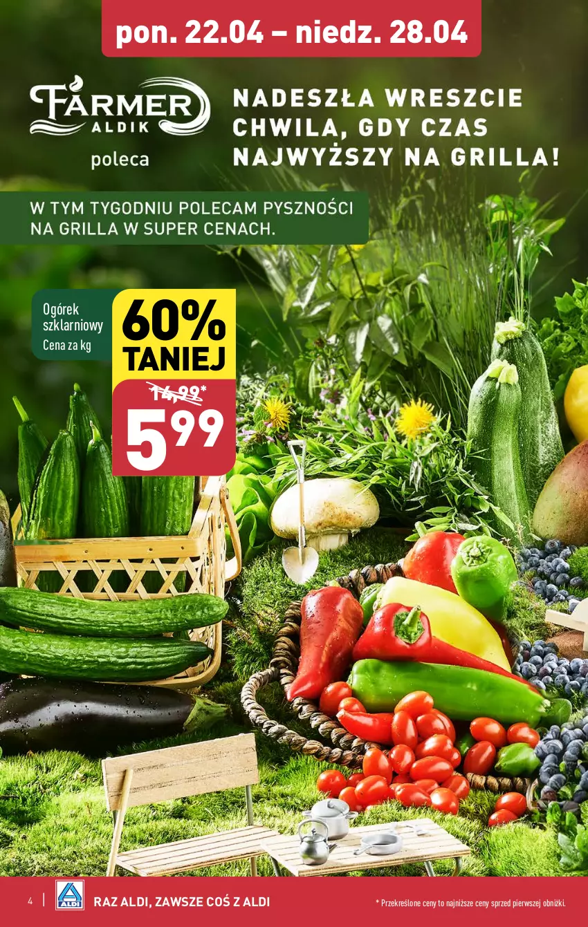 Gazetka promocyjna Aldi - Farmer ALDIK poleca świeże owoce i warzywa - ważna 22.04 do 28.04.2024 - strona 4 - produkty: Ogórek