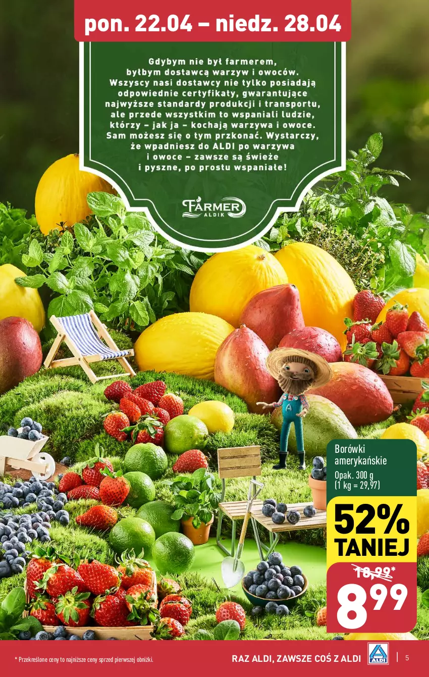 Gazetka promocyjna Aldi - Farmer ALDIK poleca świeże owoce i warzywa - ważna 22.04 do 28.04.2024 - strona 5