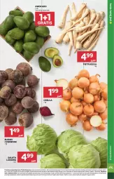 Gazetka promocyjna Stokrotka - Market - Gazetka - ważna od 13.05 do 13.05.2026 - strona 20 - produkty: Cebula, Warzywa, Gra, Pietruszka, Sałata lodowa, Sałat, Optima, Buraki, Owoce, Mięso