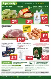 Gazetka promocyjna Stokrotka - Supermarket Opole/Radom - Gazetka - ważna od 08.01 do 08.01.2025 - strona 27 - produkty: Piwa, Piwo, Cebula, Warzywa, Ser, JBL, Gra, Coccolino, Salami, Telefon, O nas, Dres, Płyn do płukania, Wkład filtrujący, Owoce, Felix, Ser salami, Wagi, Mięso