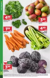 Gazetka promocyjna Stokrotka - Supermarket Opole/Radom - Gazetka - ważna od 08.01 do 08.01.2025 - strona 8 - produkty: Warzywa, Owoce, Seler naciowy, Mango, Mięso, Szpinak