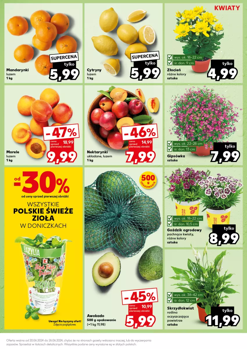 Gazetka promocyjna Kaufland - Kaufland - ważna 24.06 do 26.06.2024 - strona 13 - produkty: Cień, Cytryny, Mandarynki, Nektar, Waga