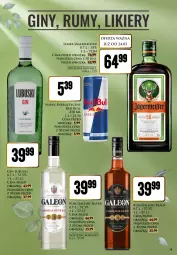 Gazetka promocyjna Dino - Katalog alkoholowy / maj 2024 - Gazetka - ważna od 01.06 do 01.06.2024 - strona 15 - produkty: Rum, Gin, Napój energetyczny, Red Bull, Lack, Leon, Napój, Likier