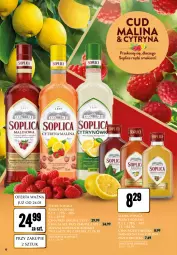 Gazetka promocyjna Dino - Katalog alkoholowy / maj 2024 - Gazetka - ważna od 01.06 do 01.06.2024 - strona 18 - produkty: Soplica, Likier